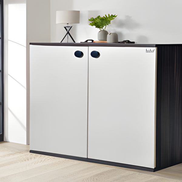 Shoe Cabinets - Black & White