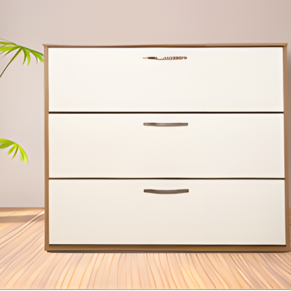 Shoe Cabinets - White and brown