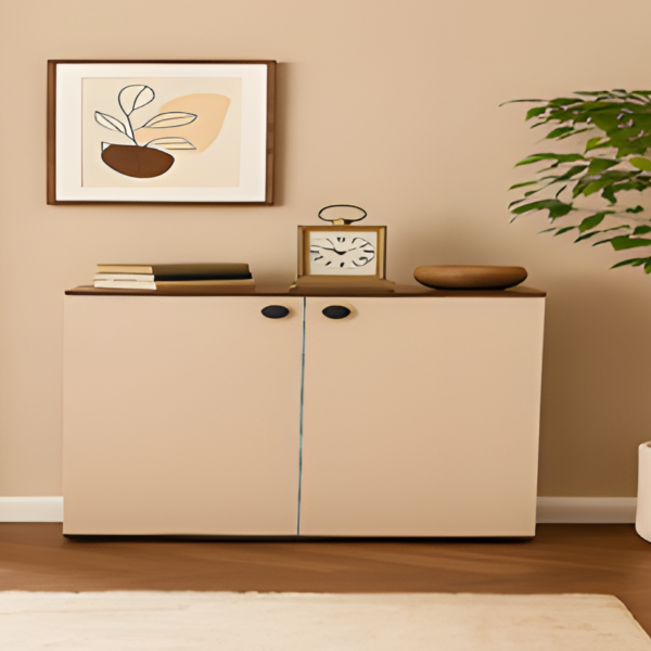 Shoe Cabinets - White and brown