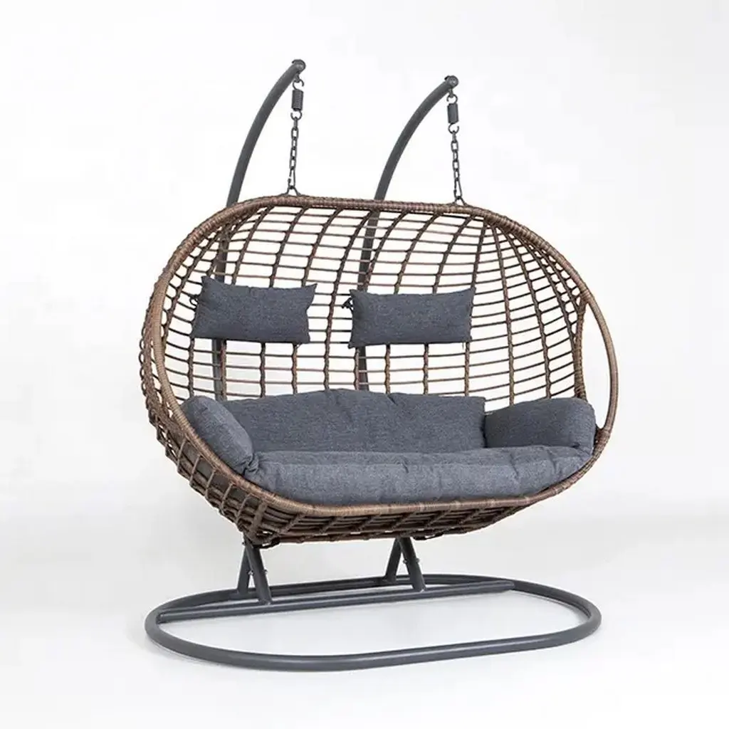 Double Hanging Swing