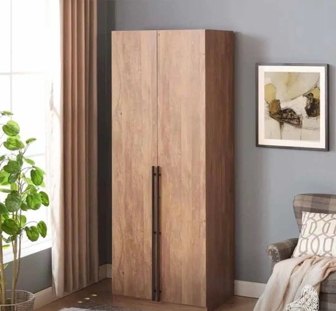 Modern Dark Wood 2-Door Wardrobe