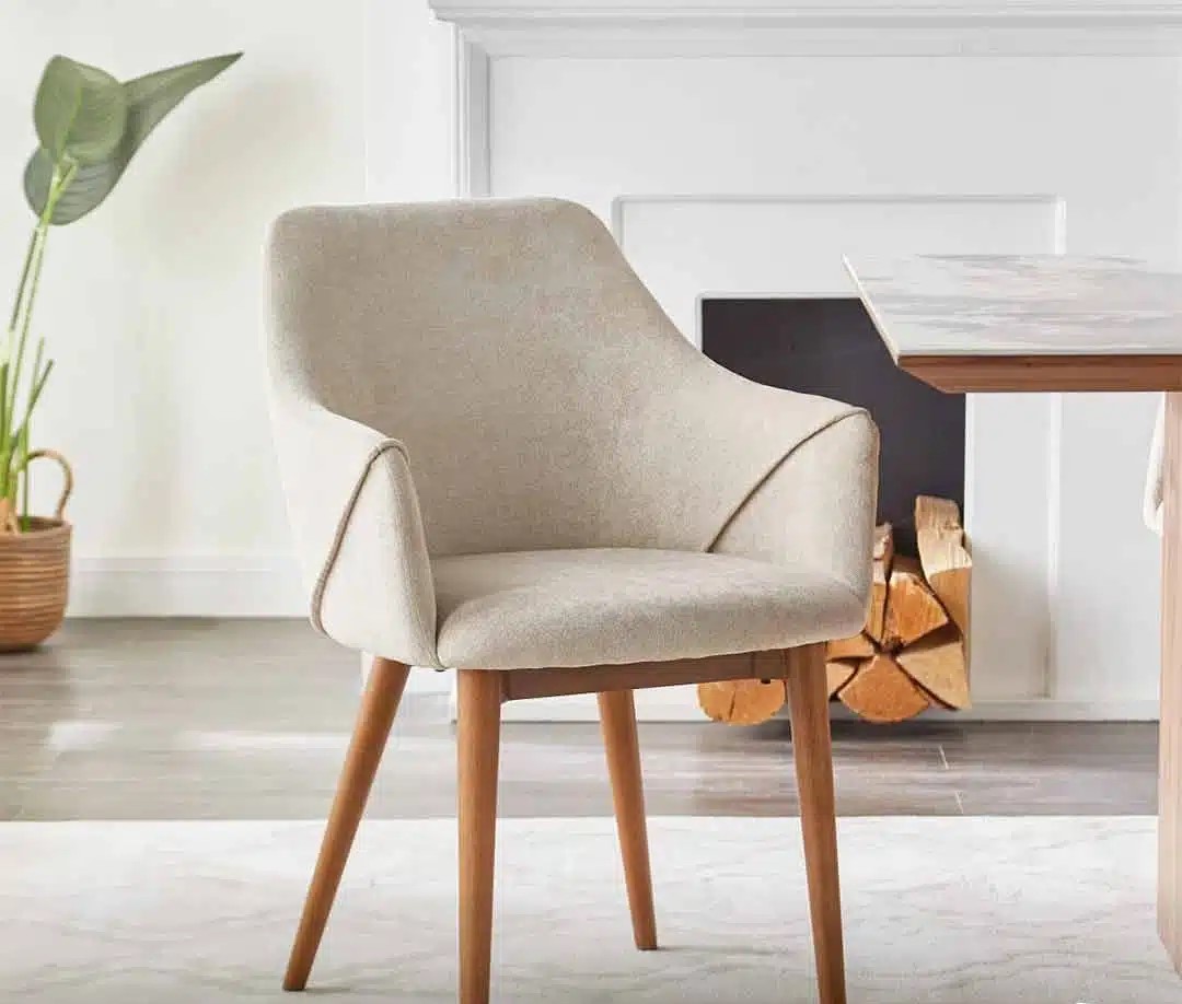 Modern Dining / Accent Chair