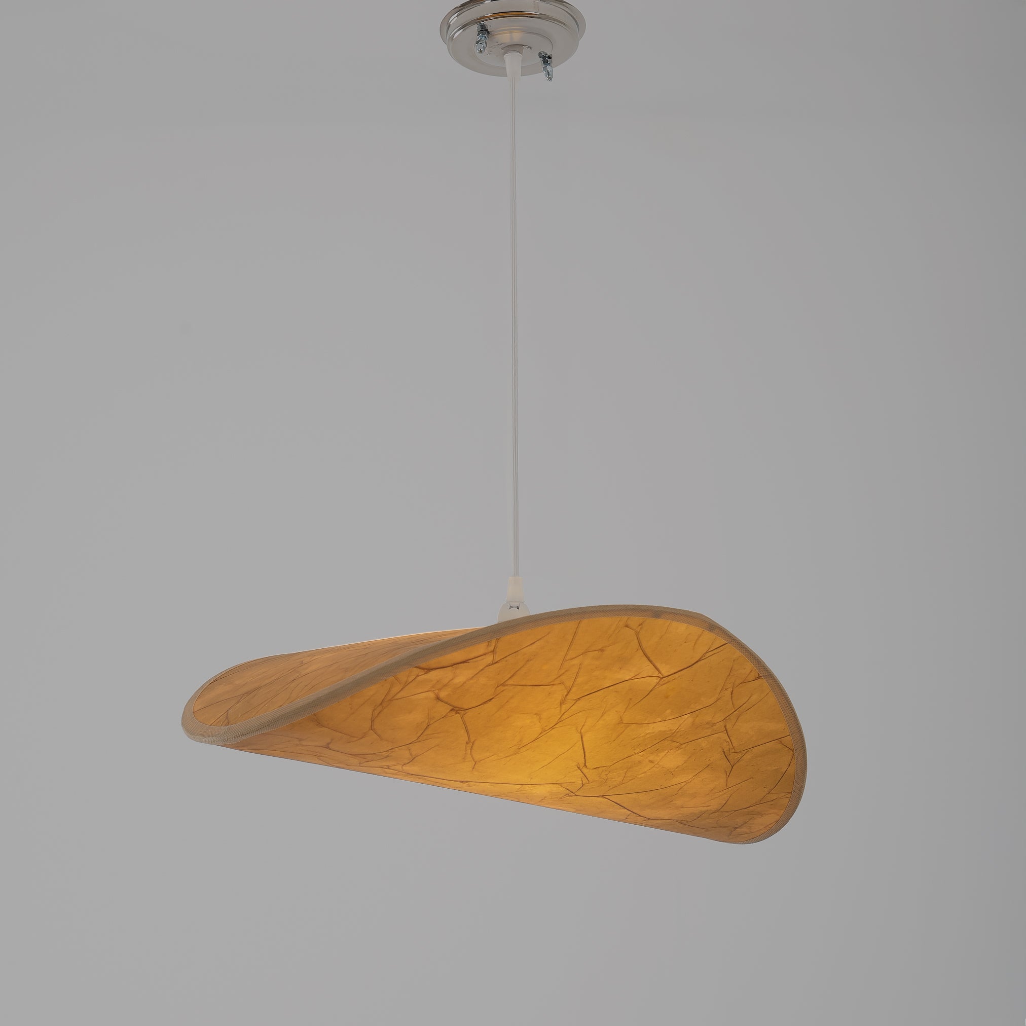 Modern Ceiling Lamp -VL-TBS-1155124 - Image 2